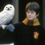 Harry Potter ve Felsefe Taşı