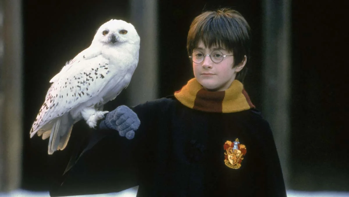 Harry Potter ve Felsefe Taşı